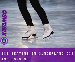 Ice Skating in Sunderland (City and Borough)