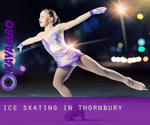 Ice Skating in Thornbury Ice Skating in Thornbury