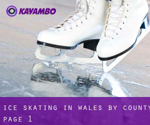 Ice Skating in Wales by County - page 1