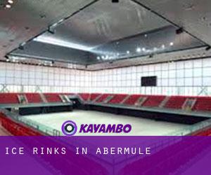 Ice Rinks in Abermule