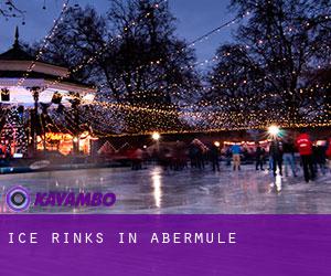 Ice Rinks in Abermule