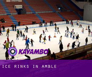 Ice Rinks in Amble