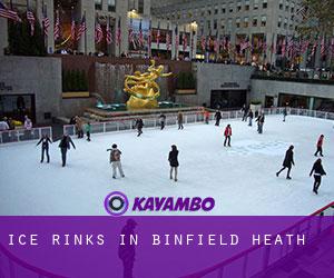 Ice Rinks in Binfield Heath