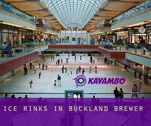 Ice Rinks in Buckland Brewer