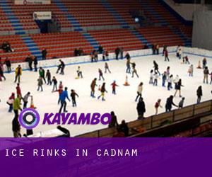 Ice Rinks in Cadnam