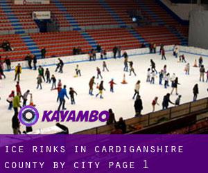 Ice Rinks in Cardiganshire County by city - page 1
