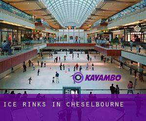 Ice Rinks in Cheselbourne