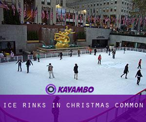 Ice Rinks in Christmas Common