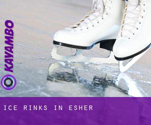 Ice Rinks in Esher