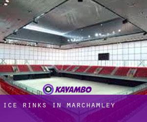Ice Rinks in Marchamley
