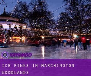 Ice Rinks in Marchington Woodlands