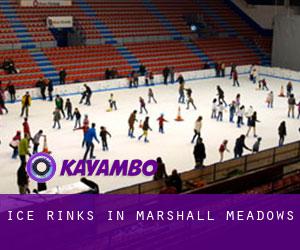 Ice Rinks in Marshall Meadows