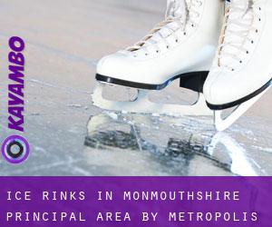 Ice Rinks in Monmouthshire principal area by metropolis - page 1