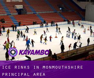 Ice Rinks in Monmouthshire principal area