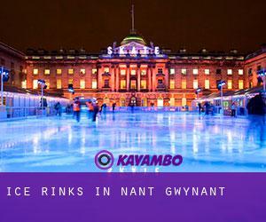 Ice Rinks in Nant Gwynant