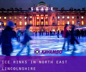 Ice Rinks in North East Lincolnshire