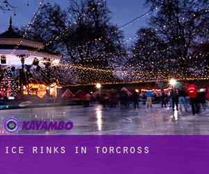 Ice Rinks in Torcross