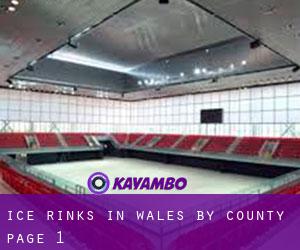 Ice Rinks in Wales by County - page 1