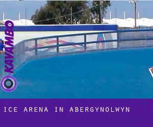 Ice Arena in Abergynolwyn