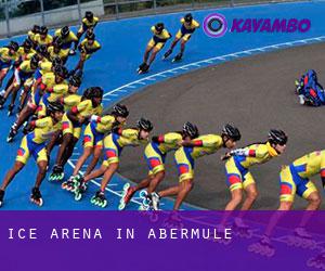Ice Arena in Abermule Ice Arena in Abermule