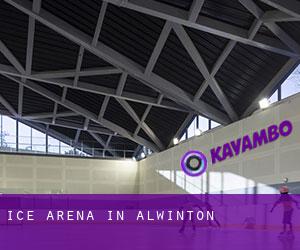 Ice Arena in Alwinton