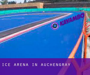Ice Arena in Auchengray