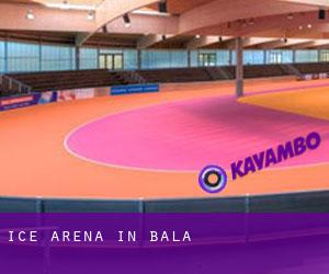 Ice Arena in Bala