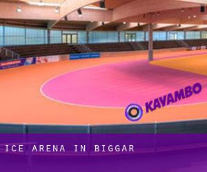 Ice Arena in Biggar