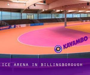Ice Arena in Billingborough