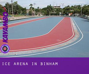 Ice Arena in Binham