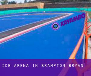 Ice Arena in Brampton Bryan Ice Arena in Brampton Bryan