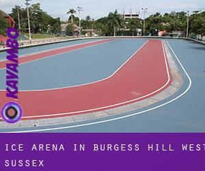 Ice Arena in burgess hill, west sussex