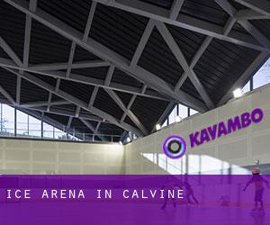Ice Arena in Calvine