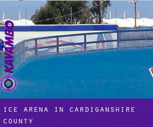 Ice Arena in Cardiganshire County