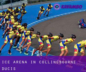 Ice Arena in Collingbourne Ducis