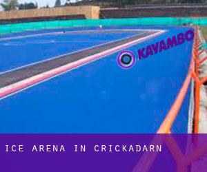 Ice Arena in Crickadarn Ice Arena in Crickadarn