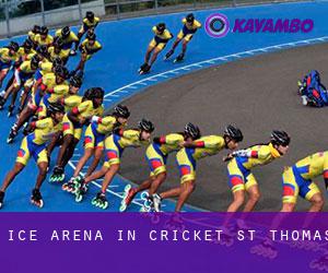 Ice Arena in Cricket St Thomas