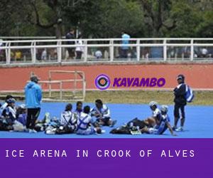Ice Arena in Crook of Alves