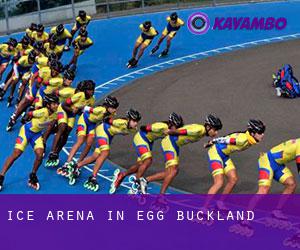 Ice Arena in Egg Buckland