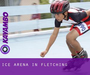 Ice Arena in Fletching