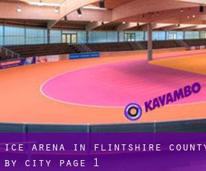 Ice Arena in Flintshire County by city - page 1