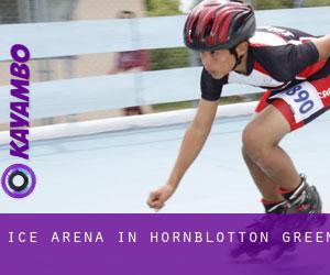 Ice Arena in Hornblotton Green