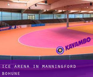 Ice Arena in Manningford Bohune
