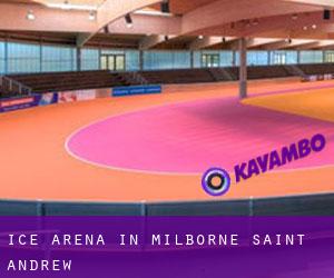 Ice Arena in Milborne Saint Andrew