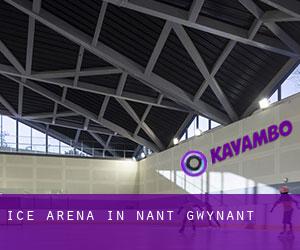 Ice Arena in Nant Gwynant