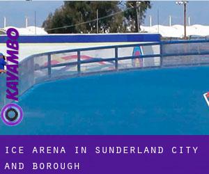 Ice Arena in Sunderland (City and Borough)