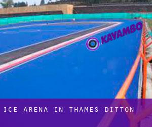 Ice Arena in Thames Ditton