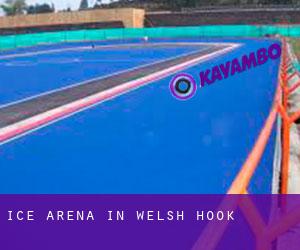 Ice Arena in Welsh Hook Ice Arena in Welsh Hook