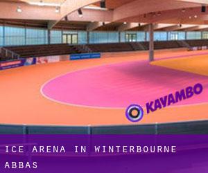 Ice Arena in Winterbourne Abbas