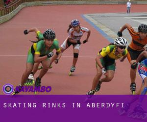 Skating Rinks in Aberdyfi Skating Rinks in Aberdyfi